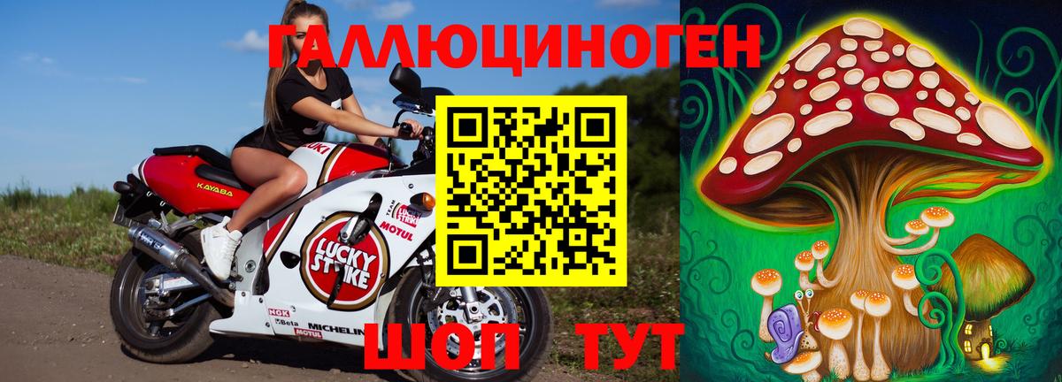 Псилоцибиновые грибы прущие грибы Мурманск